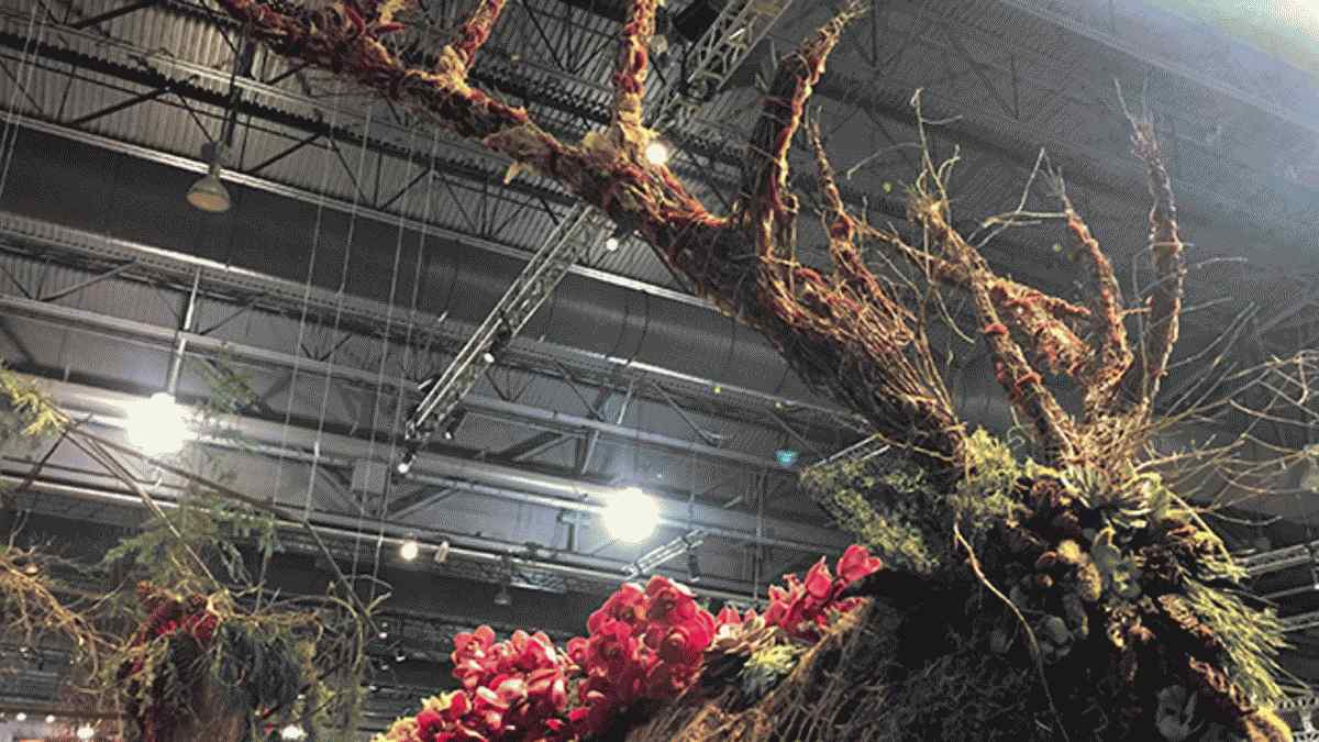8 expositions étonnantes de l'exposition florale de philadelphie 2016