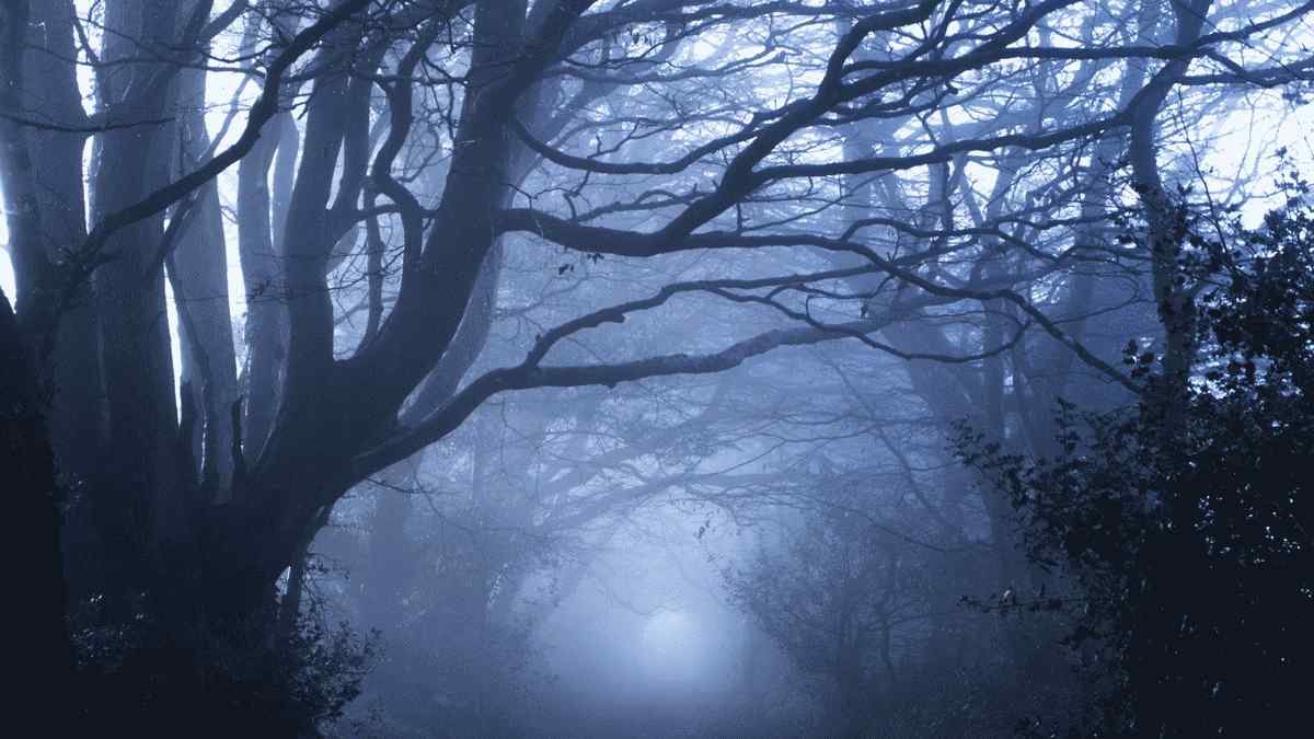 幽霊に関する6つの科学的説明