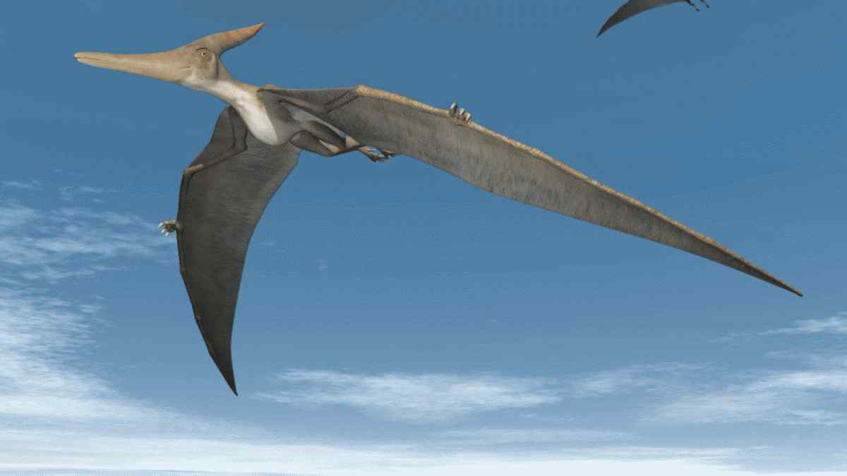 珍しい黙字に悩む15の言葉