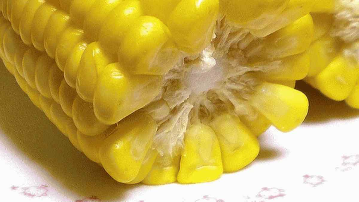 10 maneiras de usarmos milho