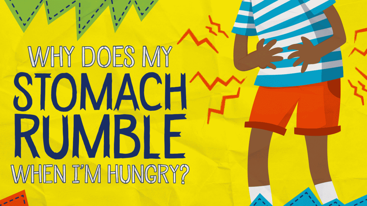 お腹が空くとお腹が鳴るのはなぜ?