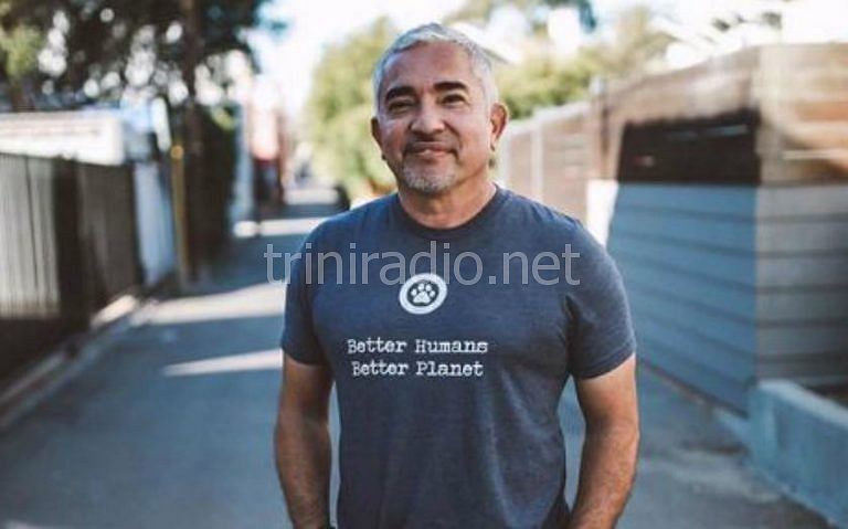 Cât de mult valorează net Cesar Millan din Trainerul de câine american-mexican în 2019? Care este salariul său?